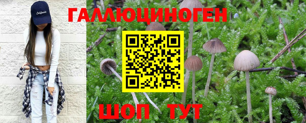 Галлюциногенные грибы мухоморы Ефремов