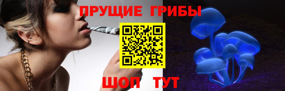Галлюциногенные грибы Cubensis  Вход с VPN  Ефремов  Галлюциногенные грибы прущие грибы 